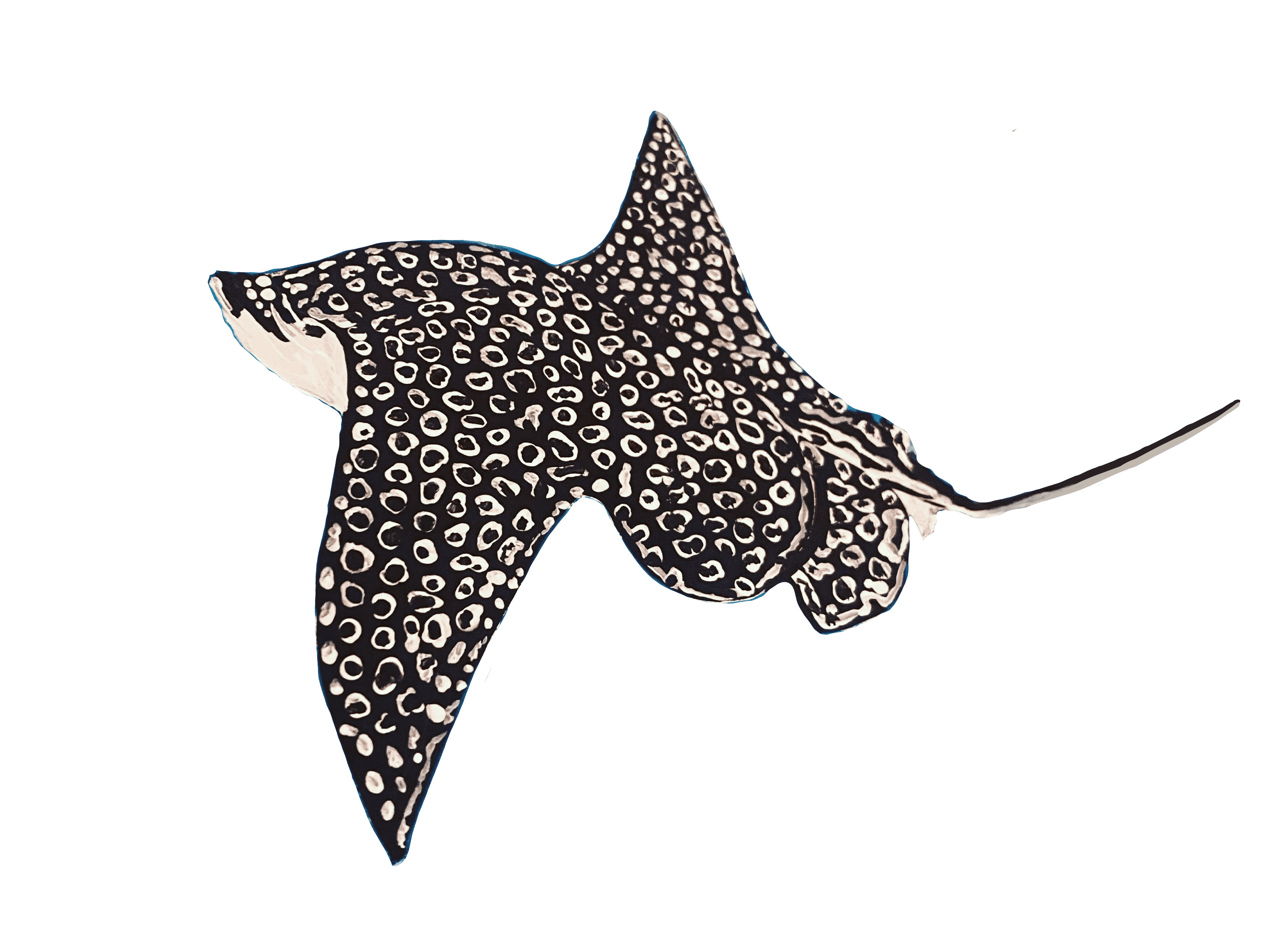 Hand-drawn eagle ray design