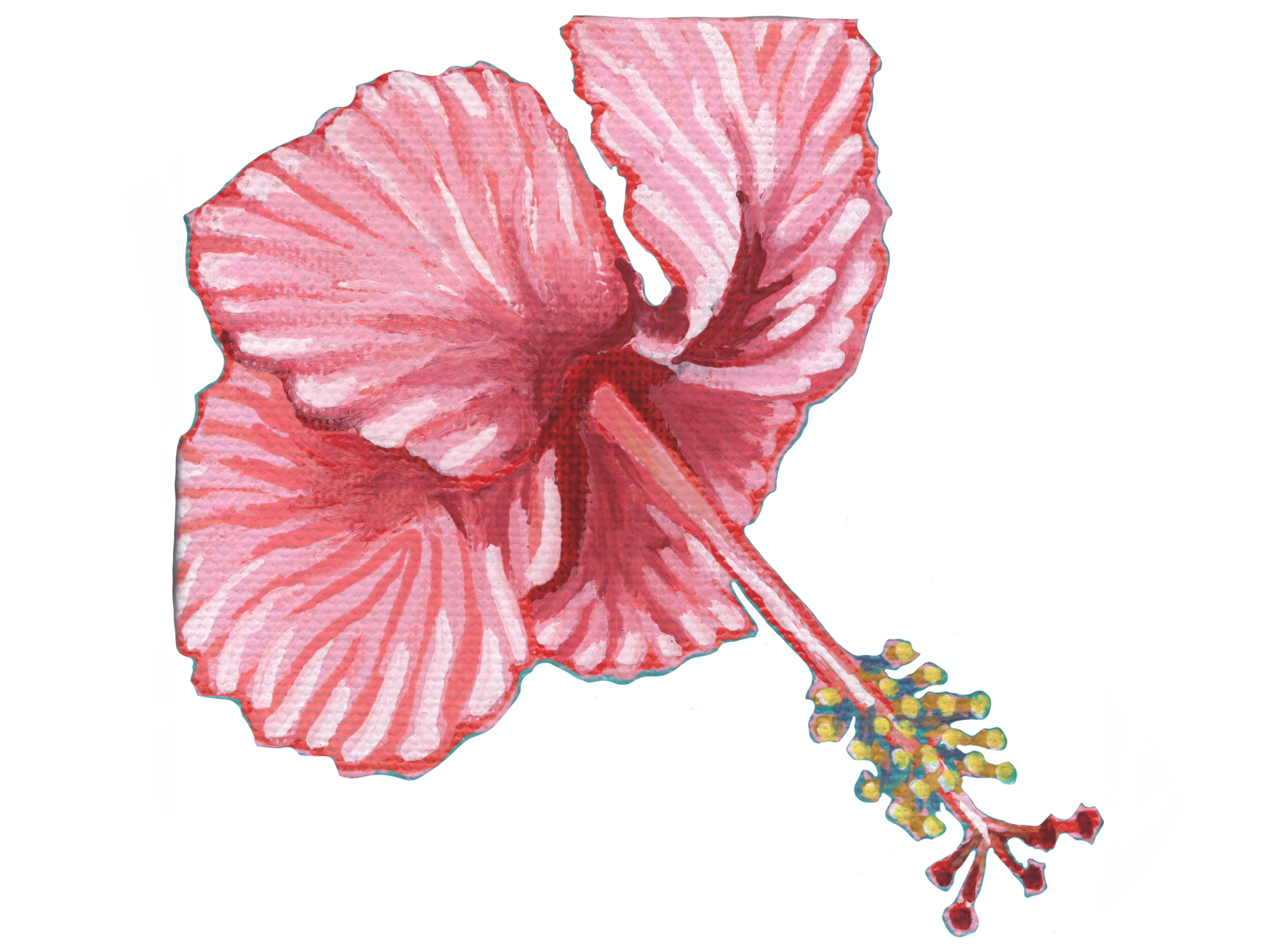 Hand-drawn hibiscus design