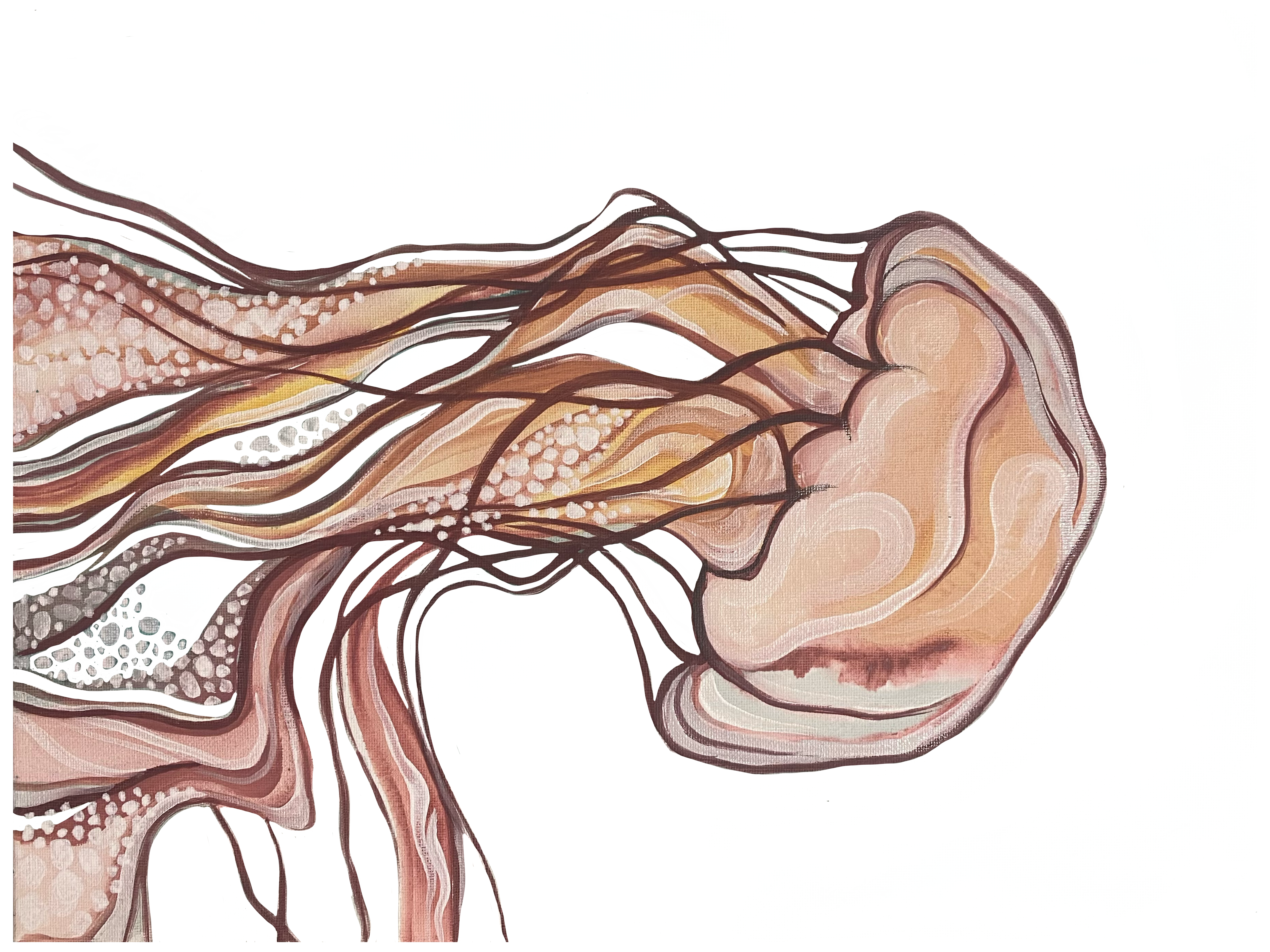 Hand-drawn jellyfish design