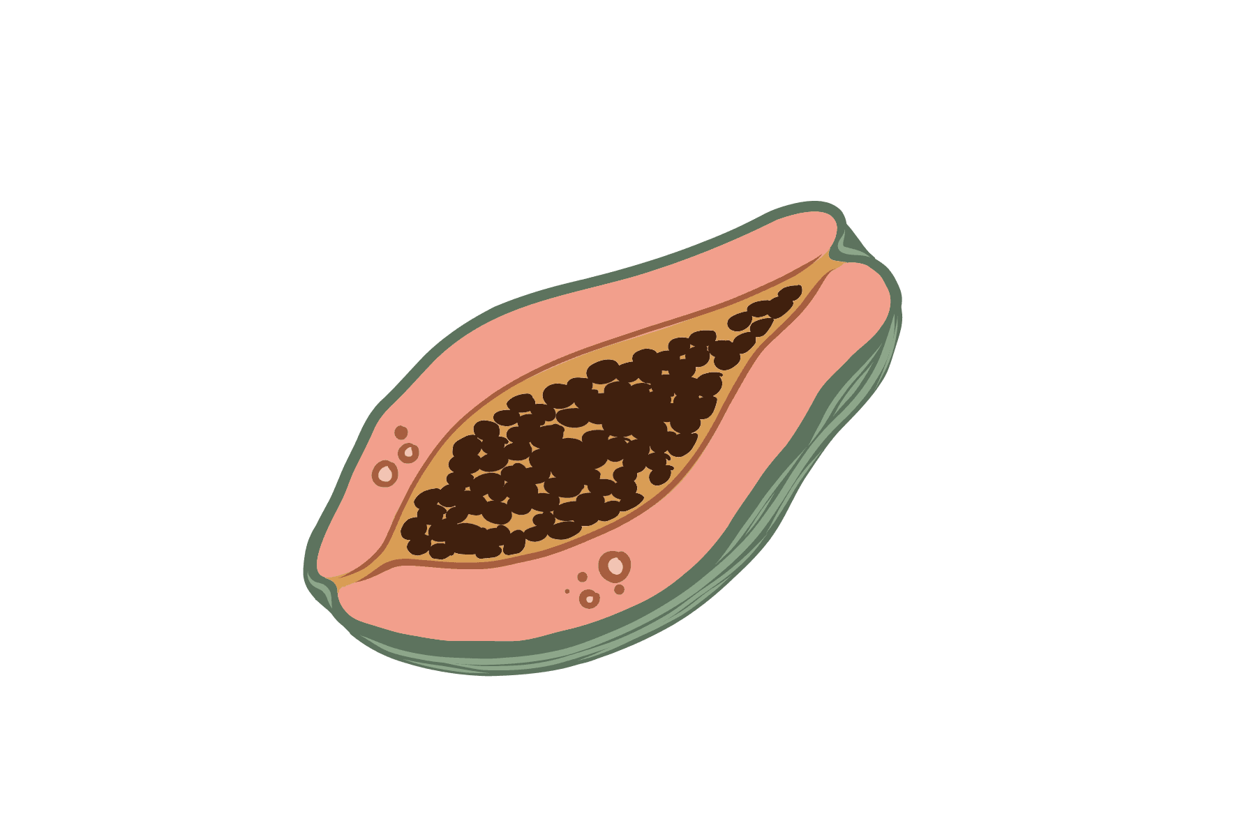 Hand-drawn papaya design